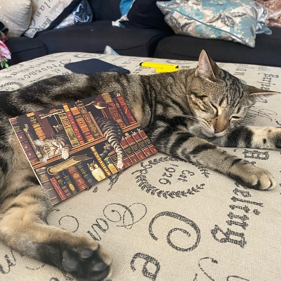 Meet your Posher, Elyse - Picture 8 of 8